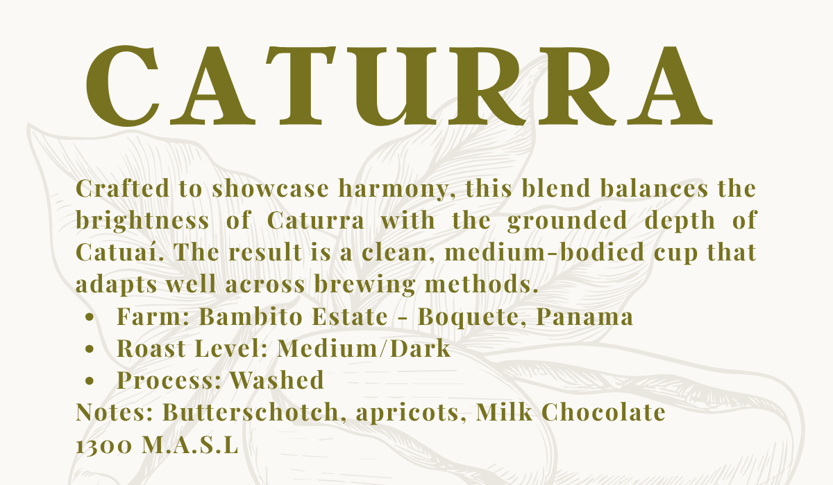 CATURRA Washed Process - Bambito Estate