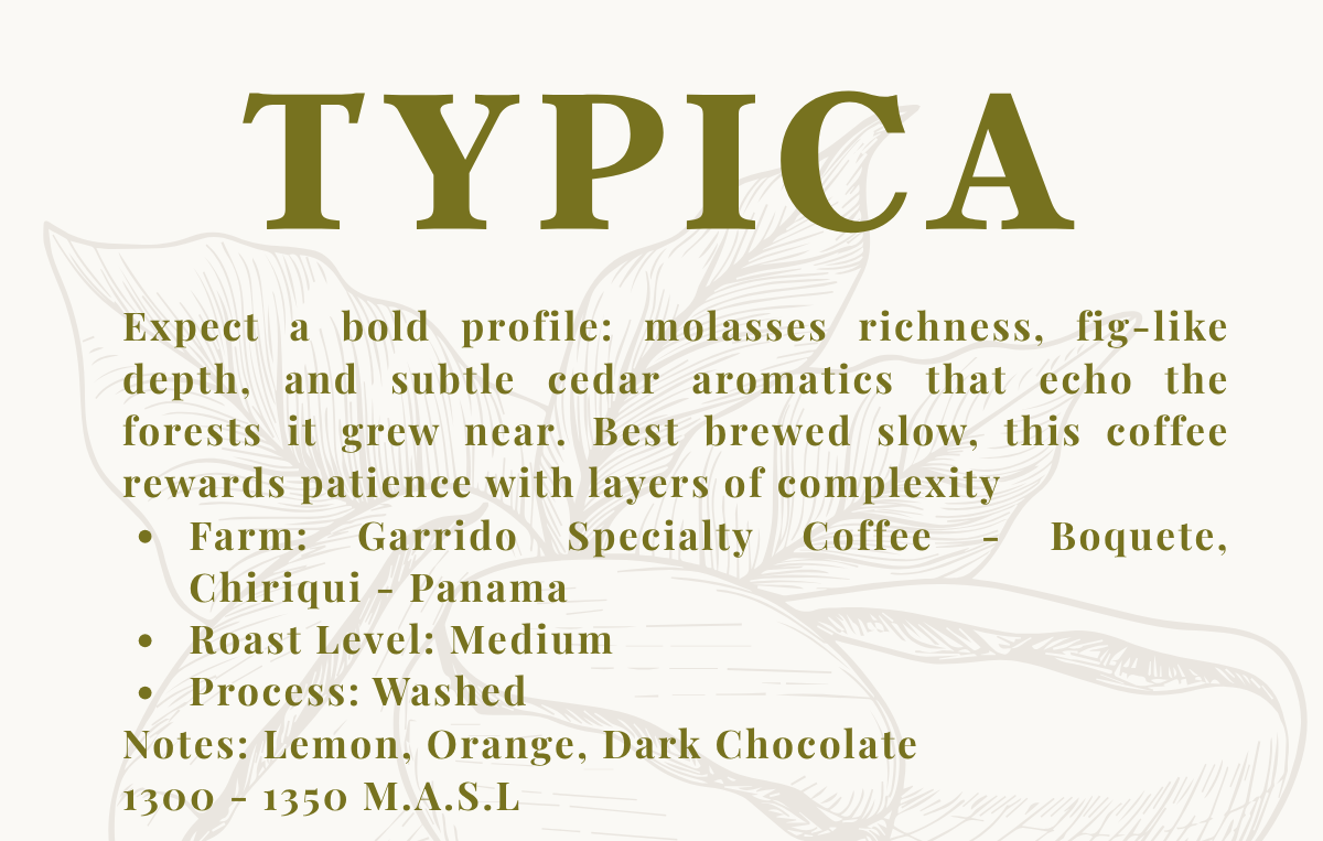 TYPICA Washed Process - Garrido Specialty Coffee