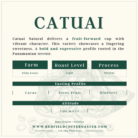 CATUAI Natural