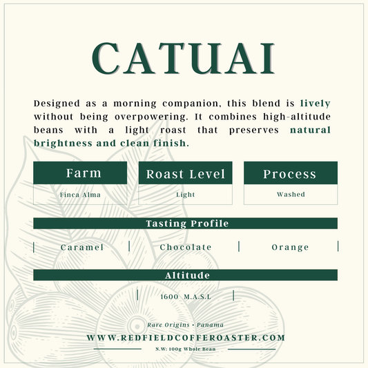 CATUAI Washed