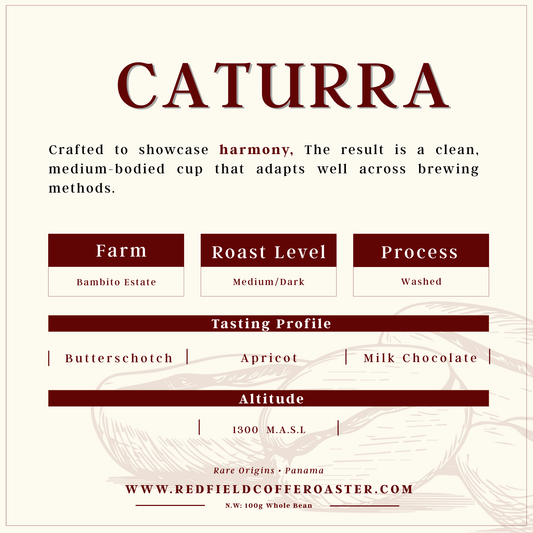 CATURRA Washed