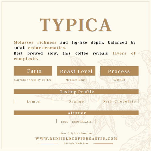 TYPICA Washed