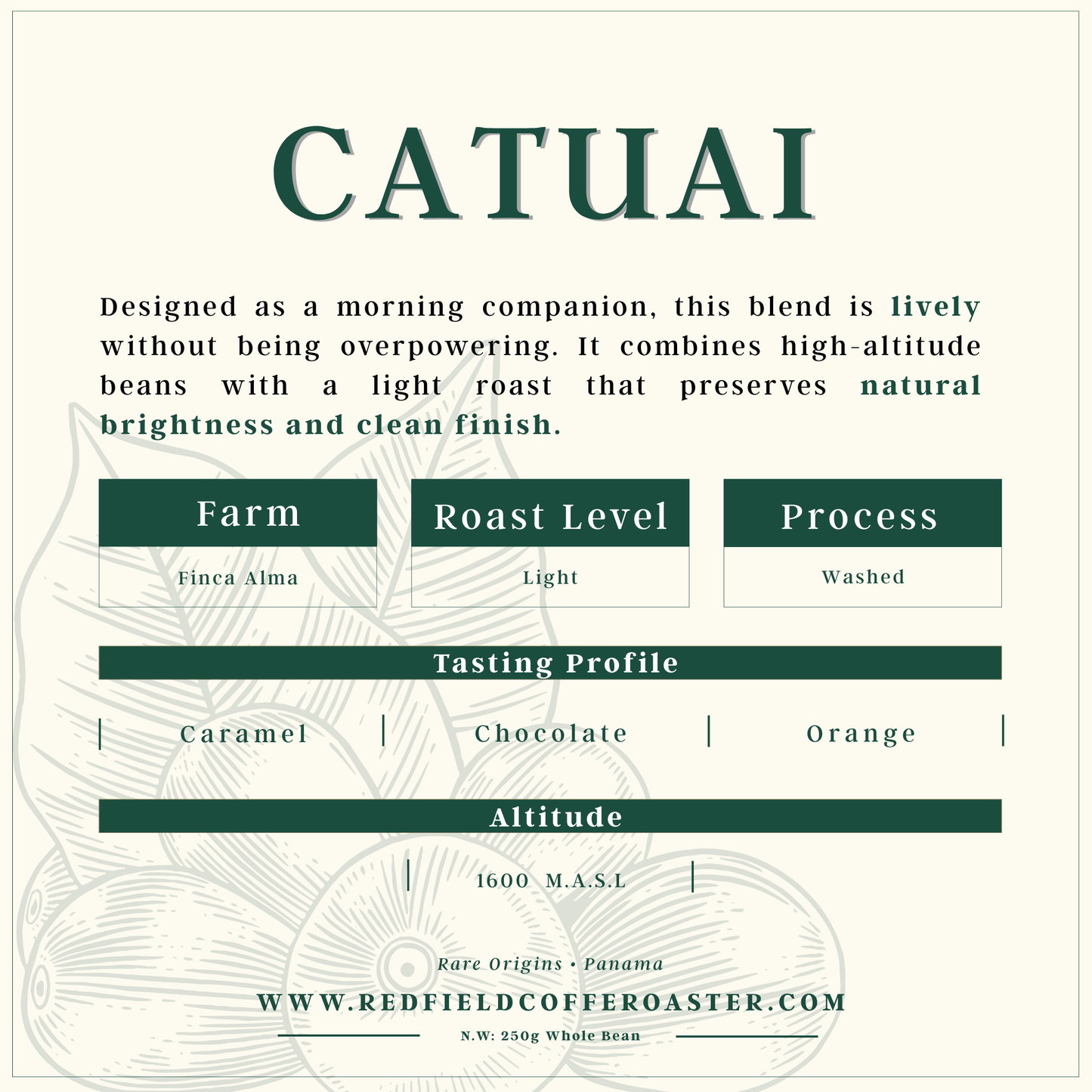 CATUAI Washed