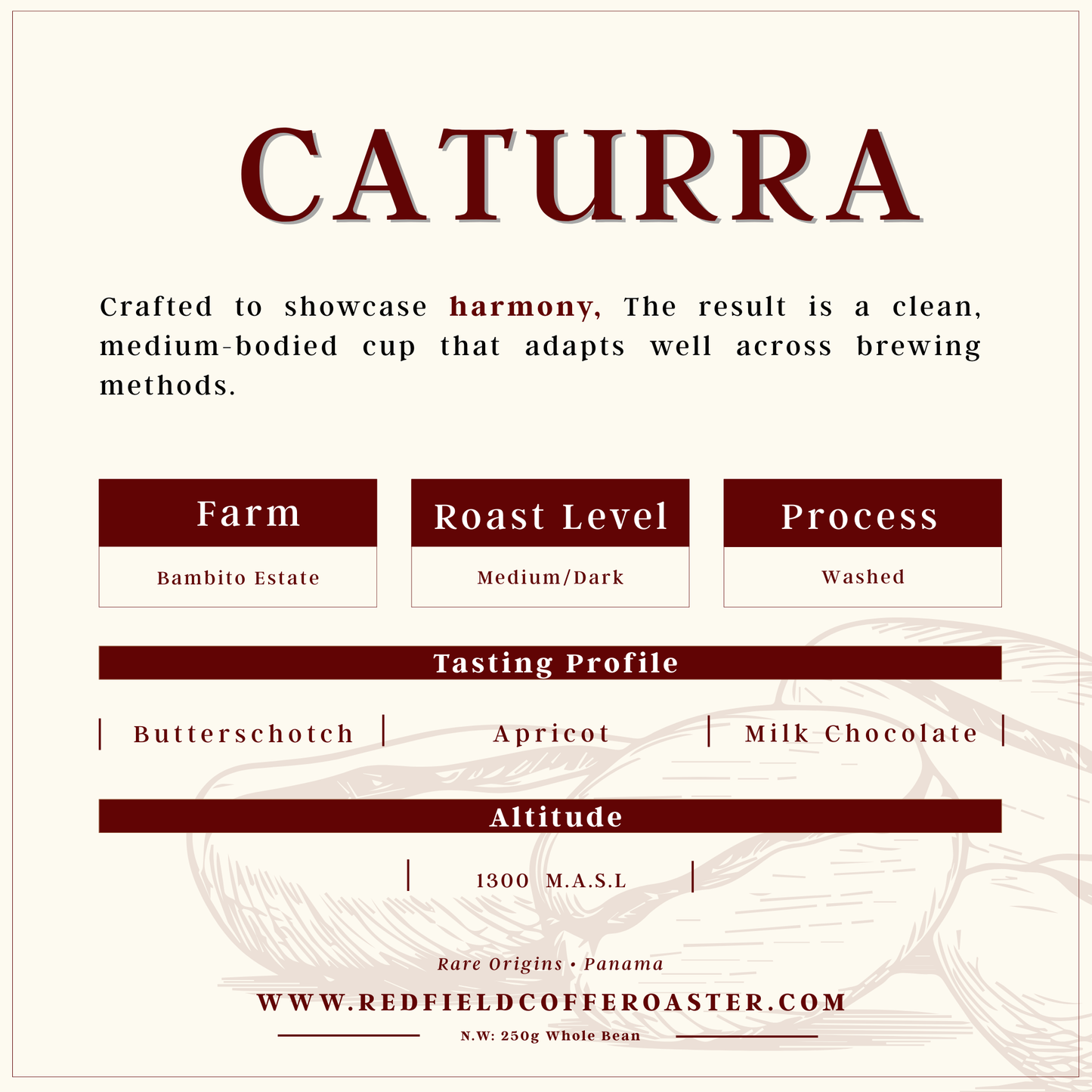 CATURRA Washed