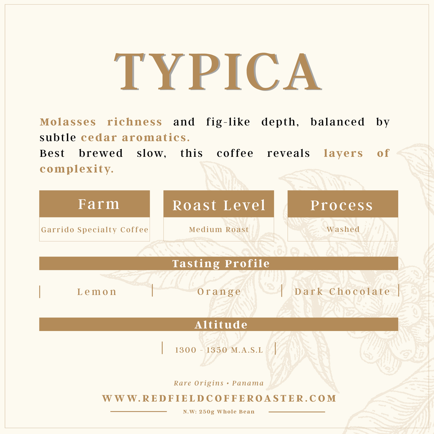 TYPICA Washed