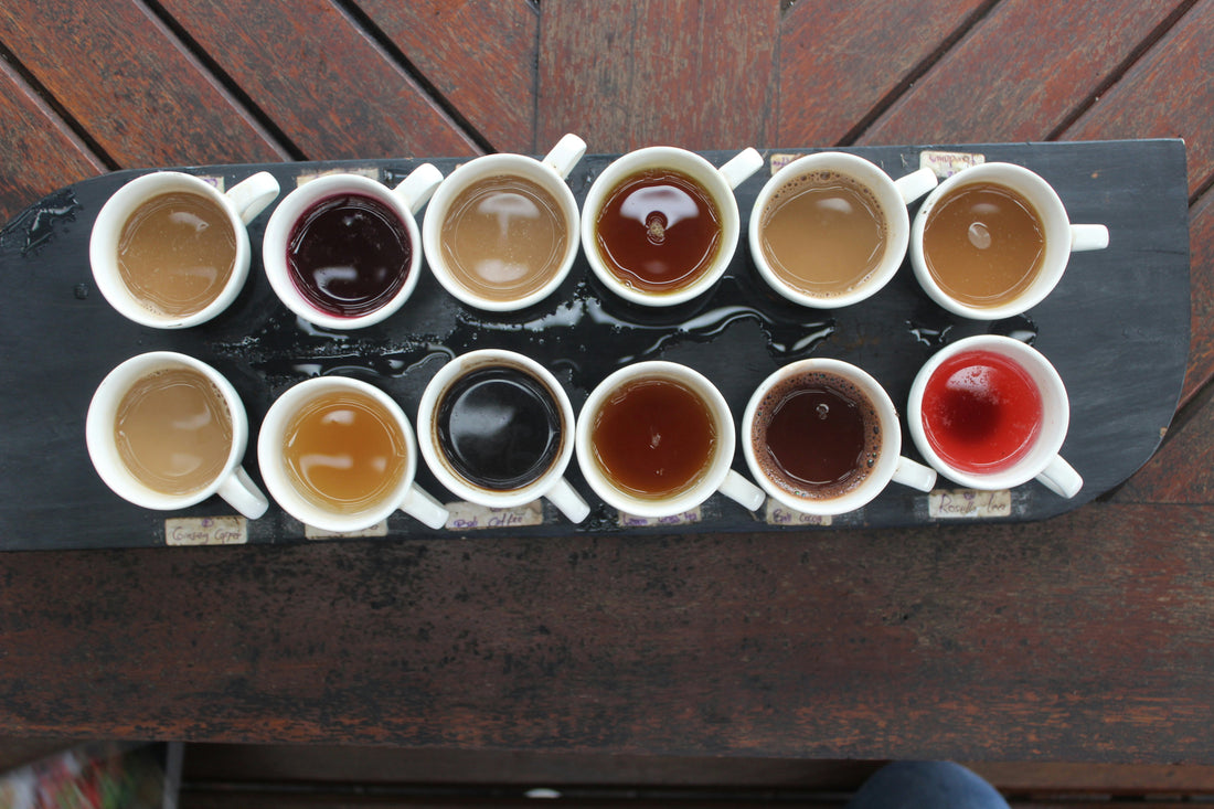 Which Coffee Variety Matches Your Personality?