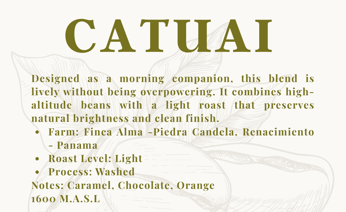 CATUAI Washed Process - Finca Alma